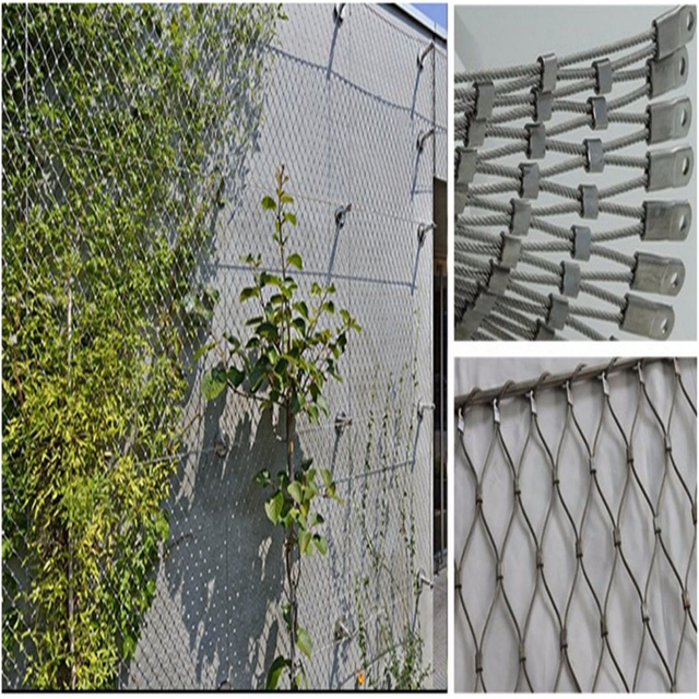 304/316 Stainless Steel 7x7 Wire Rope Mesh for Balustrade & Zoo Aviary